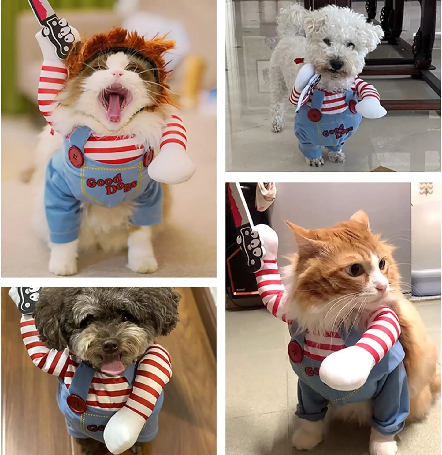 Halloween Pet Costume