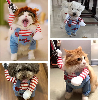 Halloween Pet Costume