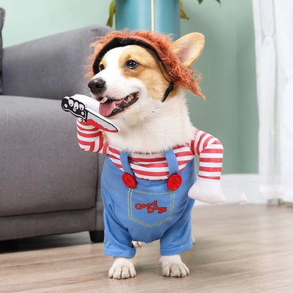 Halloween Pet Costume