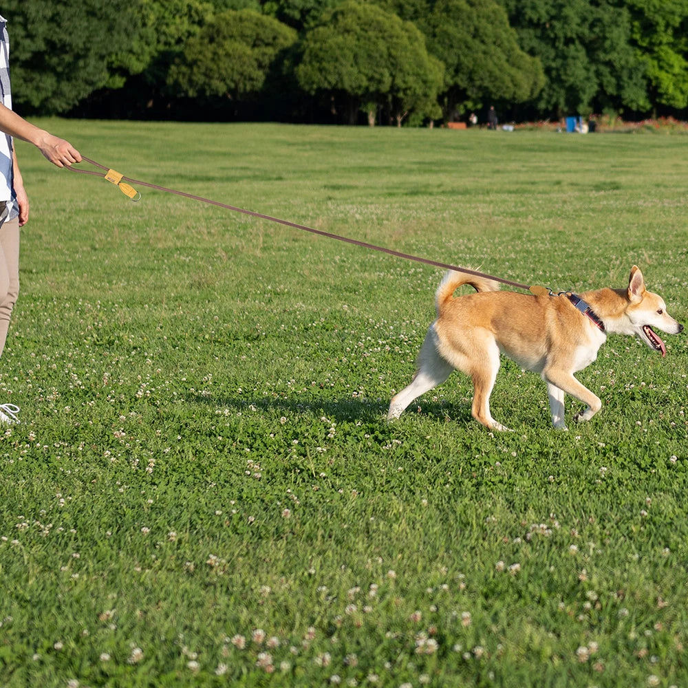 Adjustable Hands-free Dog Leash