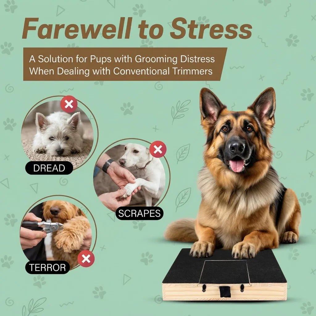 Dog Nail Scratch Board