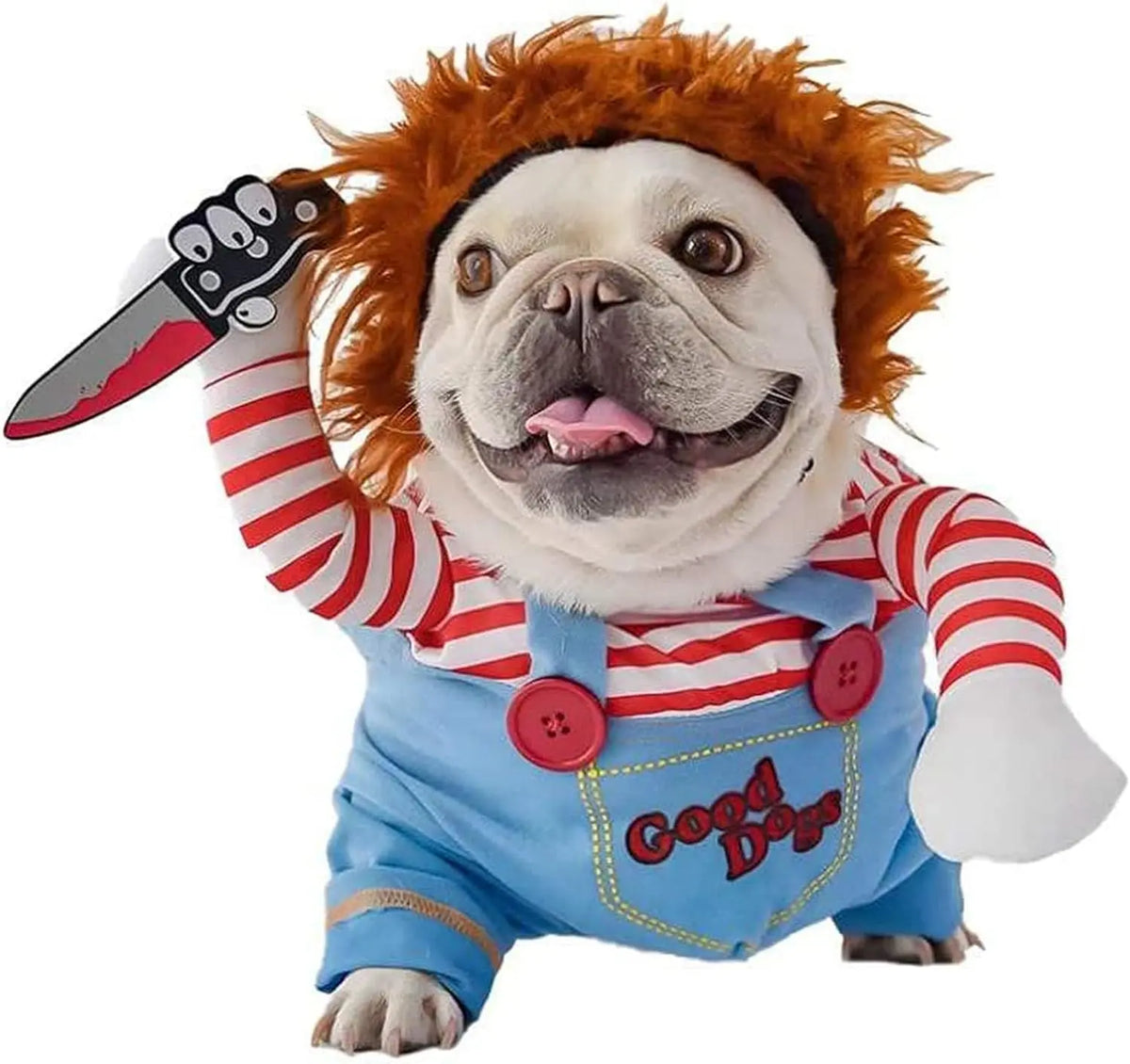 Halloween Pet Costume