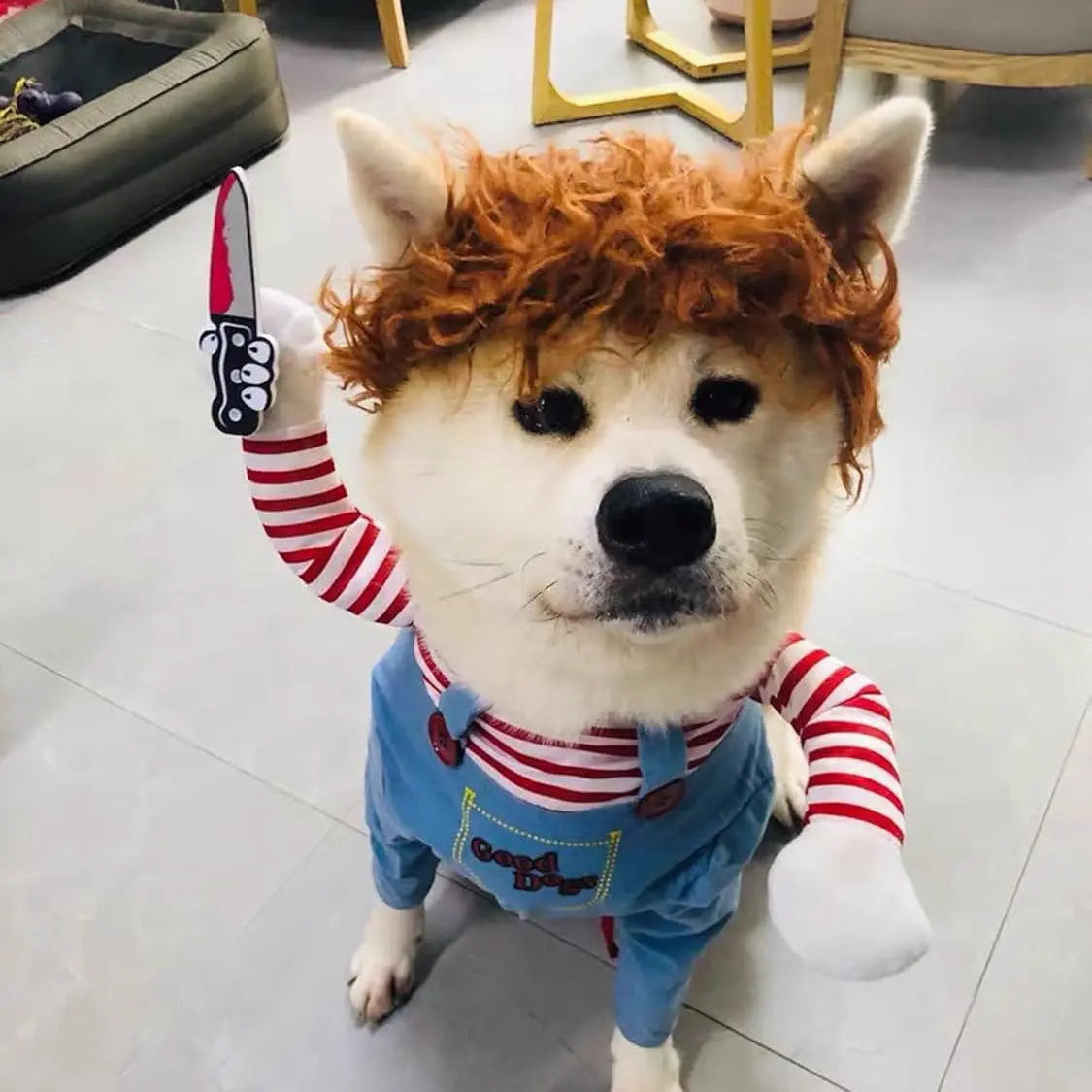 Halloween Pet Costume
