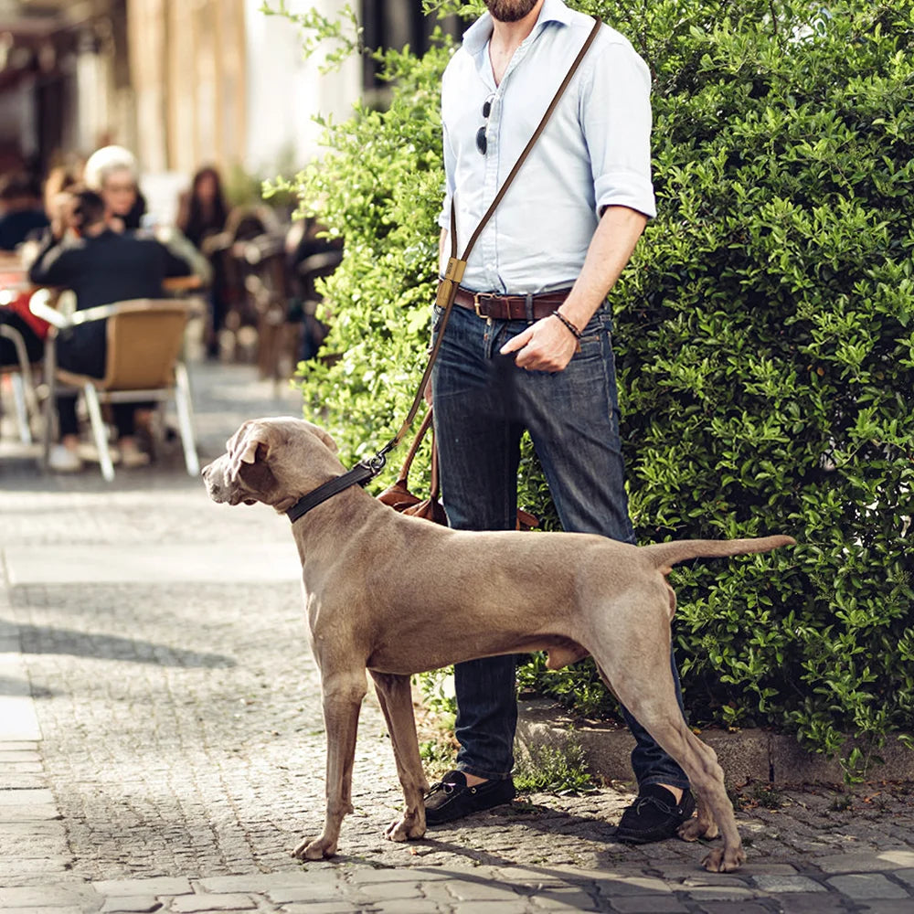 Adjustable Hands-free Dog Leash