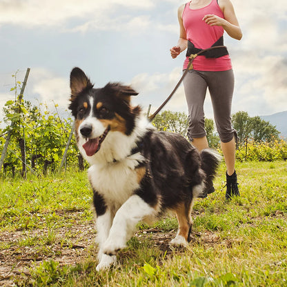 Adjustable Hands-free Dog Leash